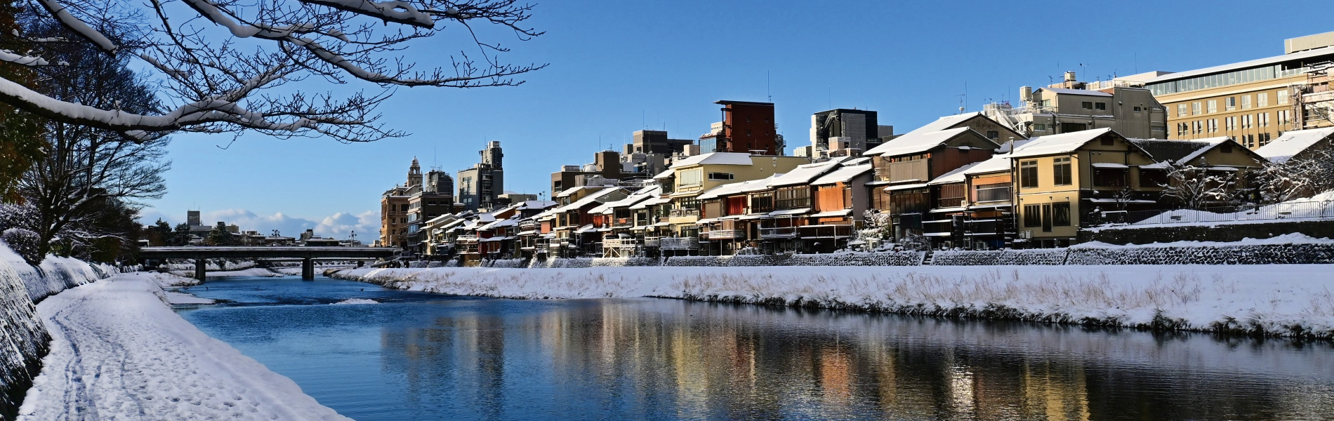 占い運勢鑑定 四柱推命・姓名判断（産児命名・改名・法人名・屋号等）・結婚相性・仕事運・対人関係・恋愛運・不登校・ひきこもり・いじめ・家庭内暴力・健康運・受験・金運・移転・新築・開店風水家相・人相・手相・墓相・印相・易学・五行易(秘密厳守)