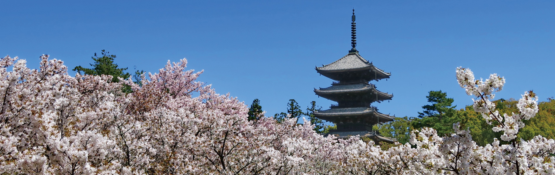 高島易断 京都河原町御池鑑定室占い運勢鑑定 四柱推命・姓名判断（産児命名・改名・法人名・屋号等）・結婚相性・仕事運・対人関係・恋愛運・不登校・ひきこもり・いじめ・家庭内暴力・健康運・受験・金運・移転・新築・開店風水家相・人相・手相・墓相・印相・易学・五行易(秘密厳守)