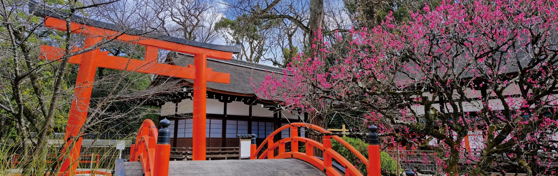 占い運勢鑑定 四柱推命・姓名判断（産児命名・改名・法人名・屋号等）・結婚相性・仕事運・対人関係・恋愛運・不登校・ひきこもり・いじめ・家庭内暴力・健康運・受験・金運・移転・新築・開店風水家相・人相・手相・墓相・印相・易学・五行易(秘密厳守)